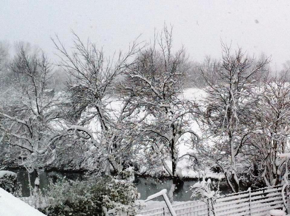 Foto: Chaja-Amira Mandic