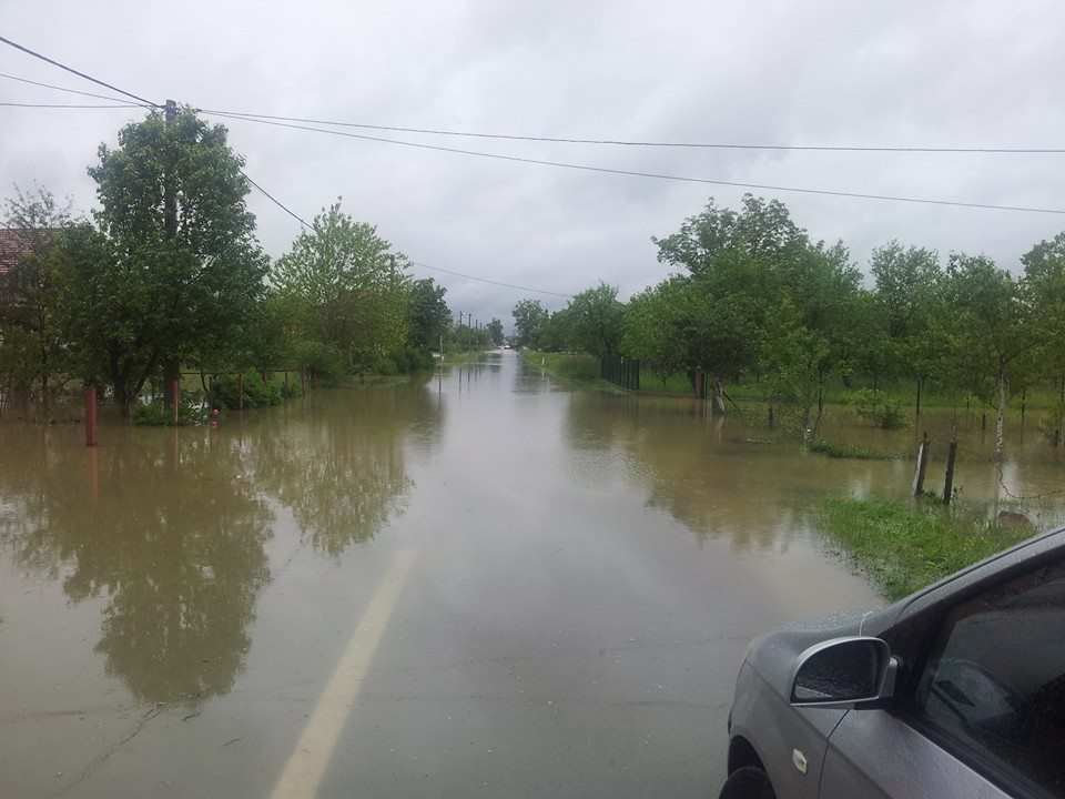 Hambarinsko polje