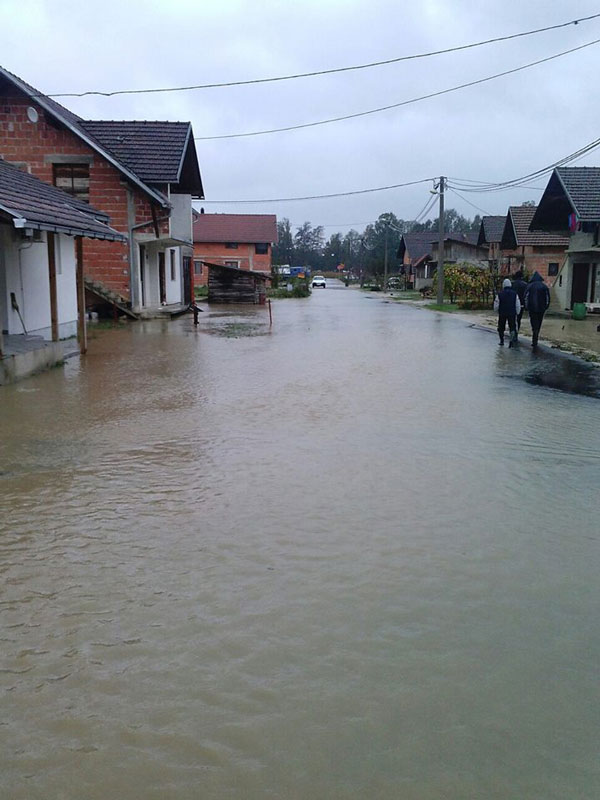 Topolik