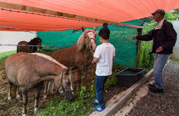 sefik-sa-unukom-eldinom