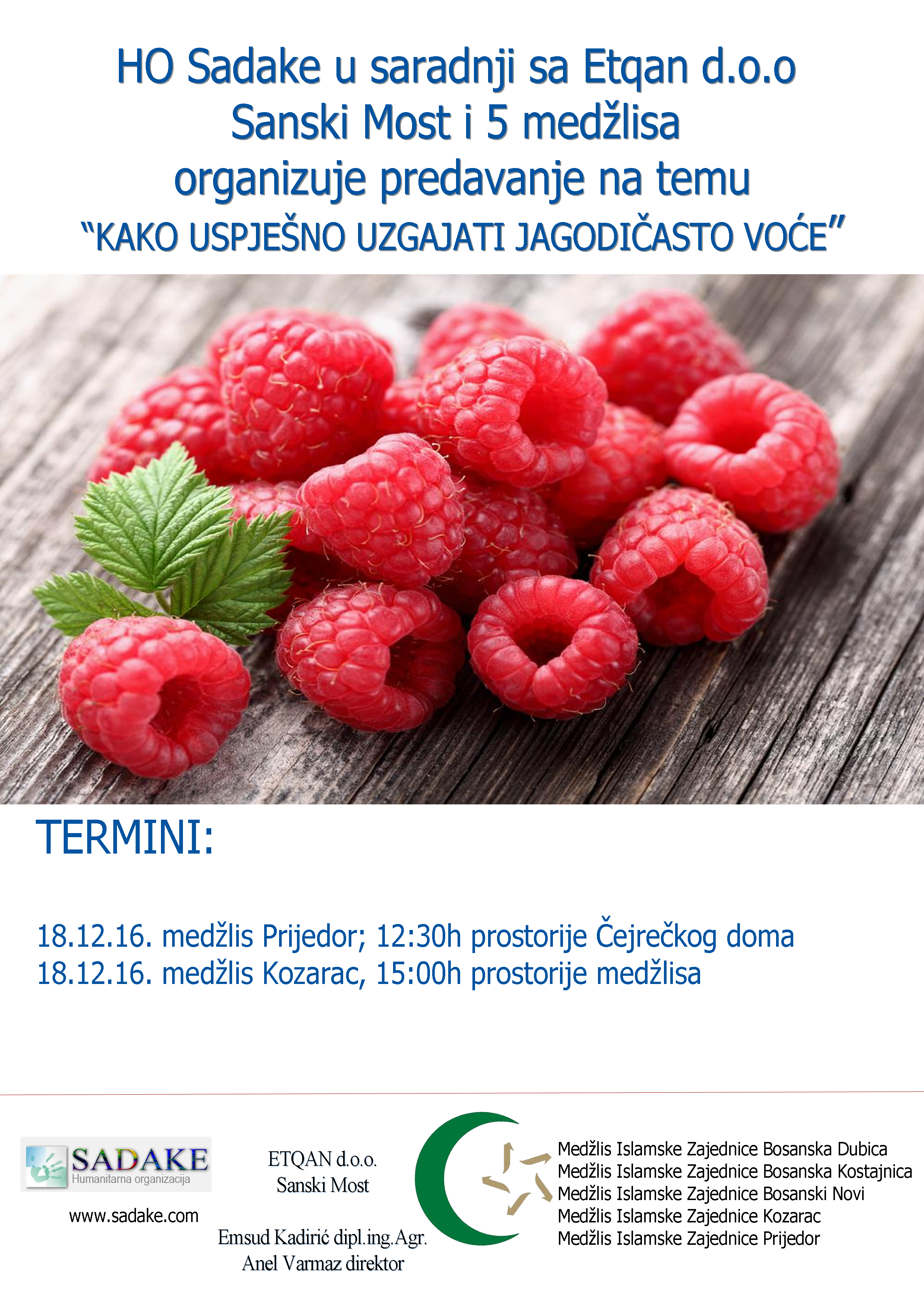 maline-v-2